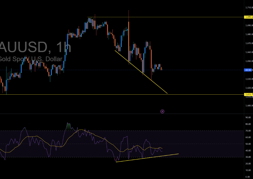 Gold Price Today: RSI Divergence Signals Possible Rebound – Is a Bounce Coming?